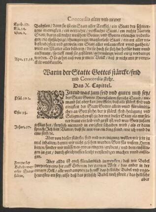 Warin der Statte Gottes stärcke/ frid und Concordia stehe. Das X. Capittel.