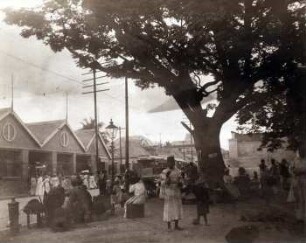 Bilder aus Kingston, Jamaica (5)