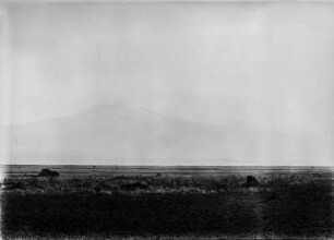 Landschaft mit Kilimandscharo : Die Steppe am Fuße des Kilimandscharo, der sich im Hintergrund erhebt