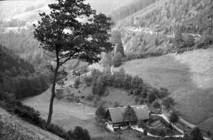 Wildgutach: Tallandschaft