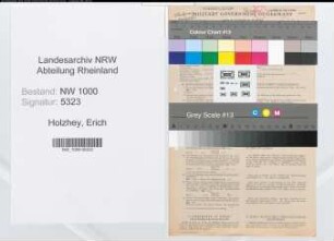 Entnazifizierung Erich Holzhey, geb. 05.12.1887 (Zollamtmann)