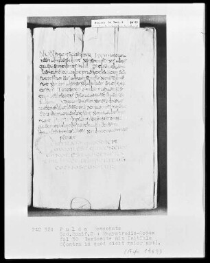 Codex Ragyndrudis, Folio 30