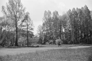 Landschaft bei Lehde : Krajina na Lědach : Lehde / Lědy