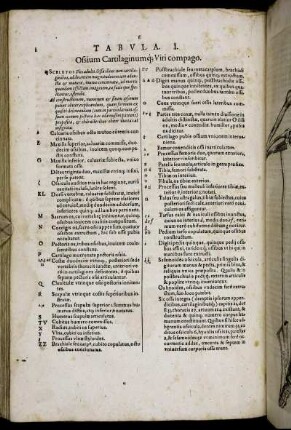 Tabula I. - Tabula X. [mit Abbildungsbeschreibung]