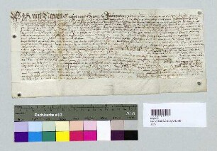 Die Brüder Erasmus und Hans Paungartner, Ratsbürger zu Regenstauf, u.a. verkaufen an Georg Loibl, Ratsbürger zu Wörth, ihren eigenen Weingarten zwischen Wörth und Wiesent, gen. der Musperger. S: Sigmund von Castell, Pfleger und Landrichter zu Wörth