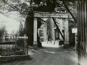 Alte Linde in Kaditz : Dresden-Kaditz, Friedhof, Kaditzer Linde auf dem Kirchhof