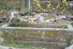 Laufbrunnen mit Brunnentrog