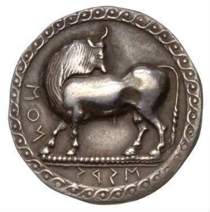 Siris und Pyxus