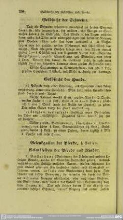 Gelbsucht der Schweine