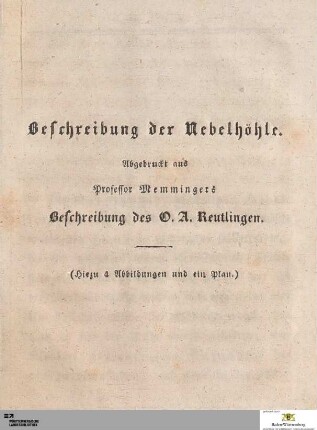 Beschreibung der Nebelhöhle