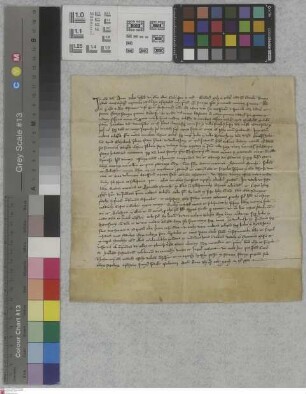 Dietesheim: Recognitio Thilmanni abbatis et conventus in Selgenstadt quod frater Cunradius Thesaurarius monasterii redditus seu proventus cujusdam...