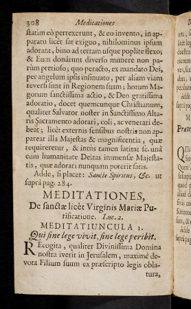 308-319, Meditationes, De sanctae licet Virginis Mariae ...; ...