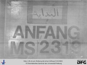 MF Mau 2319