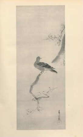 [LIII. Dove on branch by Kano To-un ...]