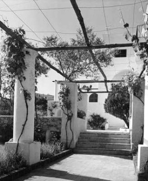 Reisefotos. Capri. Pergola