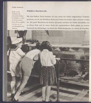 Fünftes Stockwerk