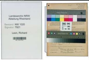 Entnazifizierung Richard Leon , geb. 01.04.1878 (Fabrikant)