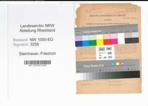 Entnazifizierung Friedrich Steinhauer, geb. 20.11.1897 (Justizsekretaer)