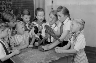 Reportage aus einer Schule in Berlin-Köpenick : Schüler vor Vogel-Präparaten