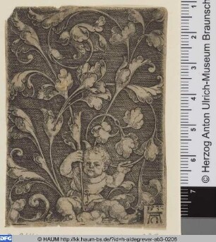 Rankenwerk mit Putto, Hochfüllung