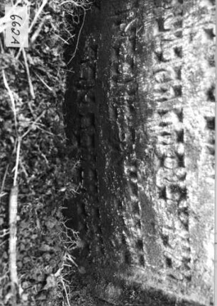 Grabstein 662 (Index: 99752434) Material: Sandstein Zustand: leicht verwittert, Stele eingesunken Maße HxBxT: 100x68x9 cm Beschreibung: Stele, doppelt eingezogener Rundbogenabschluß, Schriftfeld eingetieft Symbolik: zwei Challot, Lilie Besonderheit: Zitat Genesis 25, 27: Grabstein 662A