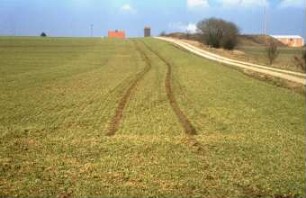 Fotografie: Feldfrucht, Getreide, Fahrgassen