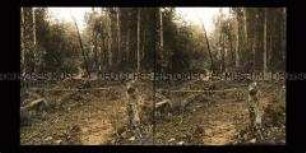 Weg durch den Wald bei Suapi