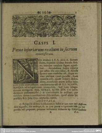 Casus I. Poena iniuriarum realium in socrum commissarum