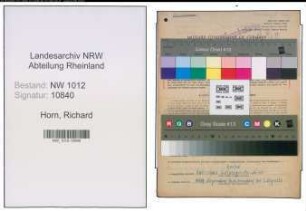 Entnazifizierung Richard Horn , geb. 26.01.1907 (Wirtschafter)