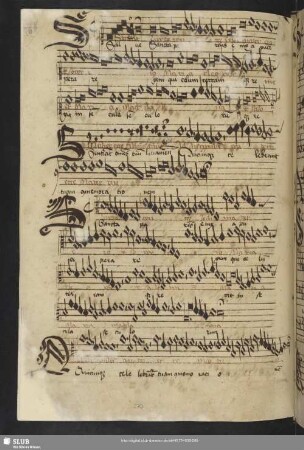 [Anon.:] Salve sancta parens