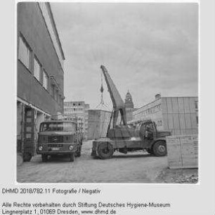 Verladen einer Gläsernen Kuh zum Transport nach Mexiko