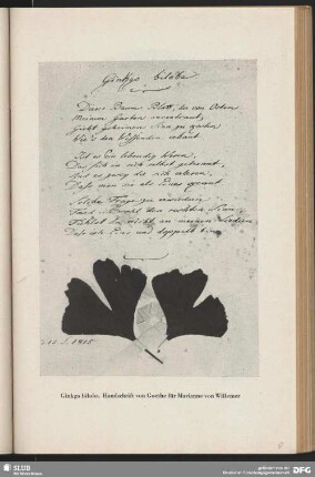 Ginkgo biloba. Handschrift von Goethe für Marianne von Willemer