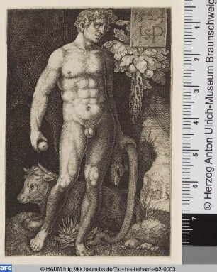 Adam stehend