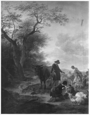 Schafschur