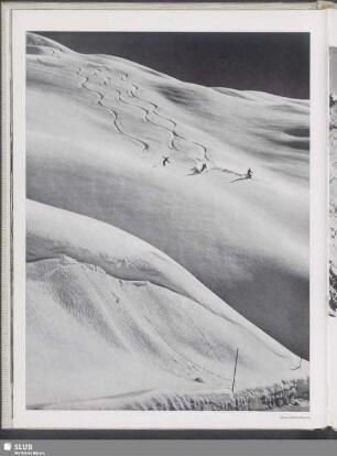 Schwungvolle Spuren zünftiger Skifahrer im Pulverschnee am Flexensattel