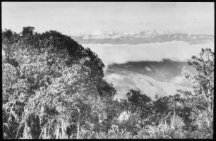 Blick über das Nebelmeer der Yungas auf die Cordillera Quimsa Cruz