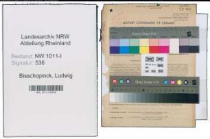 Entnazifizierung Ludwig Bisschopinck , geb. 05.02.1895 (Handelsvertreter)