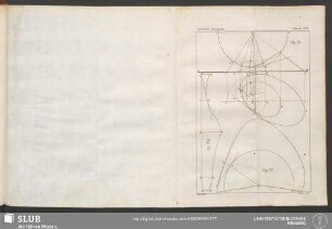 Planche XVI