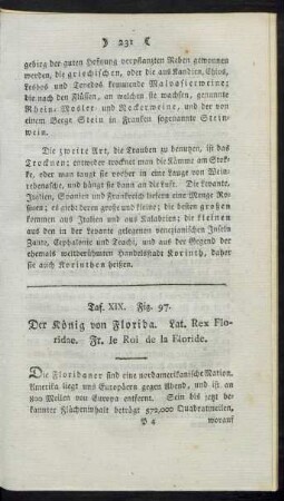 Taf. XIX. Fig. 97. Der König von Florida (Floridaner) Fig. 98. Das Murmelthier Fig. 99. Ein Pole Fig. 100. Die im Winter reisenden Ostiaken Fig. 101. Ein Neger Fig. 103. Der Muskusochs