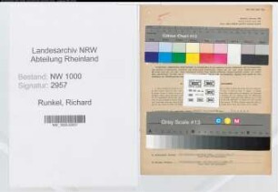 Entnazifizierung Richard Runkel, geb. 07.05.1897 (Abteilungsleiter)