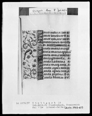 Lateinisch-französisches Stundenbuch — Bordüre mit Vogel, Folio 115 verso