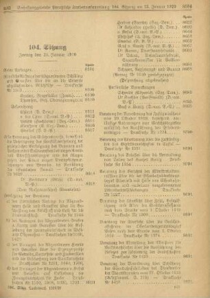 104. Sitzung. Freitag den 23. Januar 1920