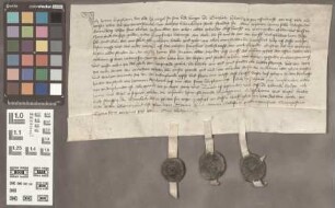 Butzbach: Schuldverschreibung Henne Brynßheim und Wigel seines Sohnes, Bürger zu Butzbach an Henne Felle, Schöffe zu Grünberg, Elsen seiner ehelic...