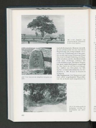 Abb.7: Ein Stein mit den königlichen Insignien von 1850.