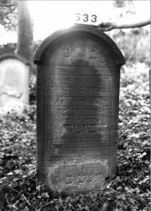 Grabstein 533 (Index: 99802730) Material: Sandstein Zustand: seitl/unten verwitt/Textverlust Maße HxBxT: 116x57x12 cm Beschreibung: Stele mit verdachtem Rundbogen: Grabstein 533