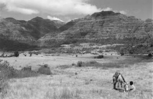 Gara-Muleta-Südwand : Blick über eine Grasfläche, die an das Grasflur-Plateau der Gara-Muleta-Südwand angrenzt.