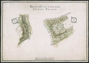 "Kochersteinsfelder Communwälder" [Lehnle, Platz Holtz]
