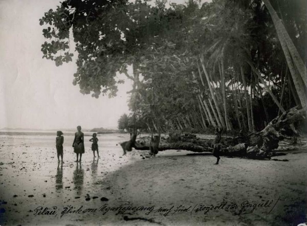 "Vue du Ngarupesang vers le sud (Kogeoll de Goigull), Palau".