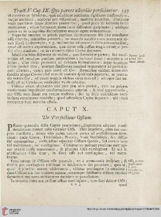 Caput X: De Perfectione Ossium