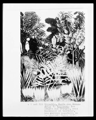 Les singes aux Oranges